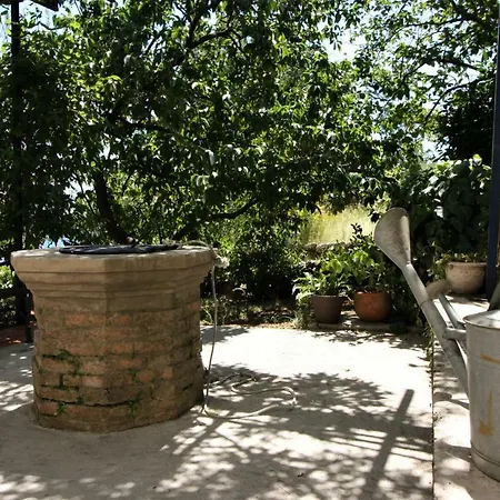 Panoramic Apartment